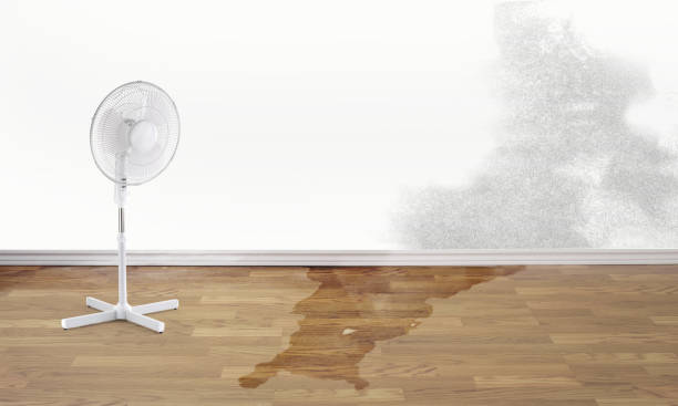 Best Fire Damage Restoration  in Riverside, CT